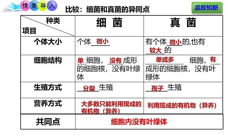 人教版生物七年级上册2.3.4《病毒》（教学课件）第2页