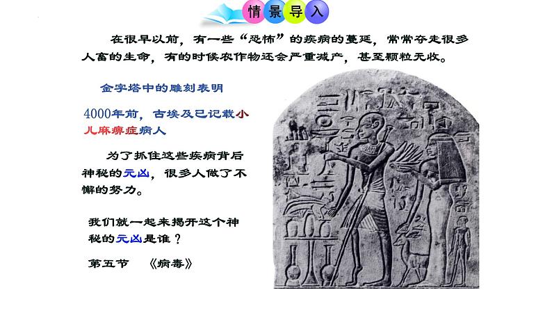 人教版生物七年级上册2.3.4《病毒》（教学课件）第3页