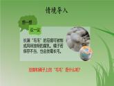 人教版生物七年级上册3.3《真菌》（课件）