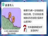 人教版生物七年级上册3.4《病毒》（教学课件）