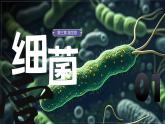 人教版生物七年级上学期2.3.2《细菌》（教学课件）