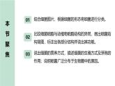 人教版生物七年级上学期2.3.2《细菌》（教学课件）