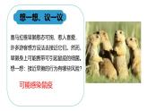 人教版生物七年级上学期2.3.2《细菌》（教学课件）