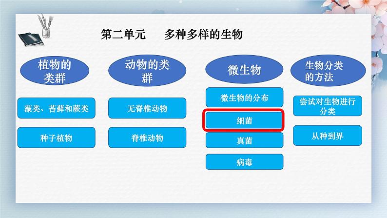 人教版生物七年级上学期2.3.2《细菌》教学课件第1页