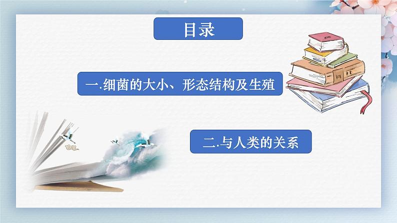 人教版生物七年级上学期2.3.2《细菌》教学课件第4页