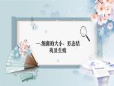 人教版生物七年级上学期2.3.2《细菌》教学课件