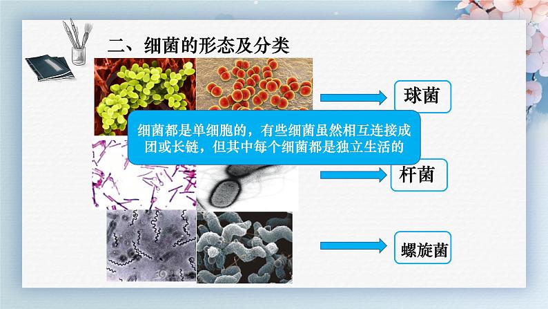 人教版生物七年级上学期2.3.2《细菌》教学课件第7页