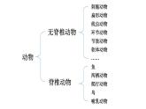 初中生物新人教版七年级上册第二单元第二章第一节 无脊椎动物教学课件2024秋