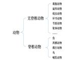 初中生物新人教版七年级上册第二单元第二章第一节 无脊椎动物教学课件2024秋
