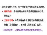 初中生物新人教版七年级上册第二单元第二章第一节 无脊椎动物教学课件2024秋
