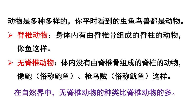 初中生物新人教版七年级上册第二单元第二章第一节 无脊椎动物教学课件2024秋第5页