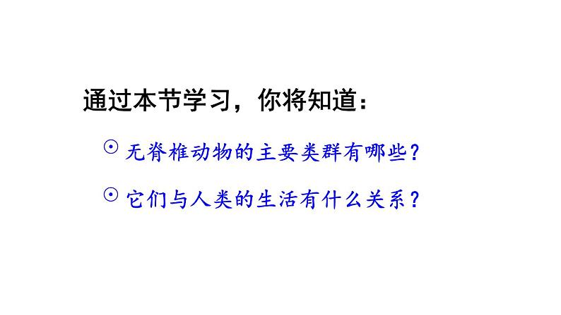 初中生物新人教版七年级上册第二单元第二章第一节 无脊椎动物教学课件2024秋第6页