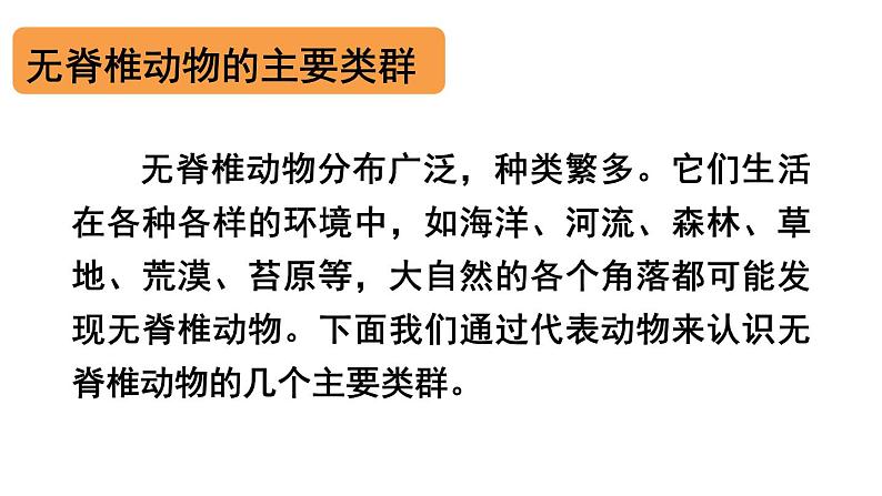 初中生物新人教版七年级上册第二单元第二章第一节 无脊椎动物教学课件2024秋第7页