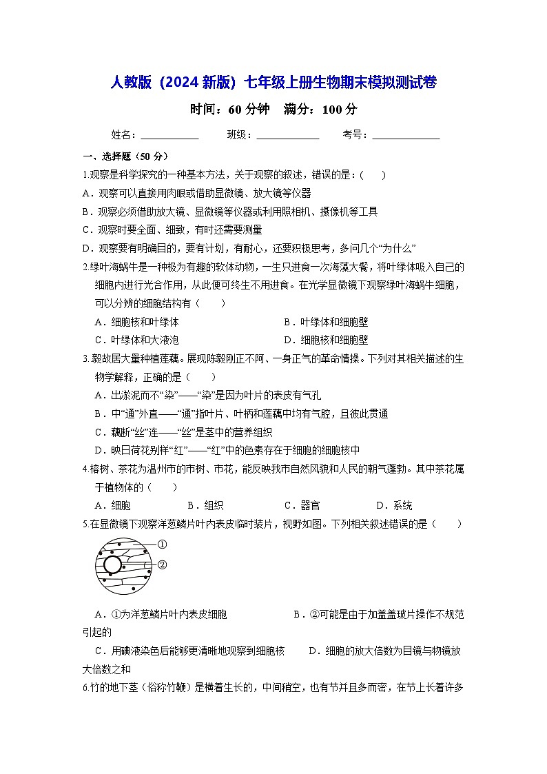 人教版（2024新版）七年级上册生物期末模拟测试卷（含答案解析）第1页