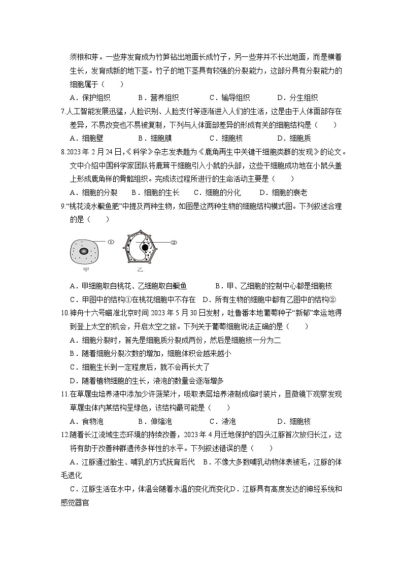 人教版（2024新版）七年级上册生物期末模拟测试卷（含答案解析）第2页