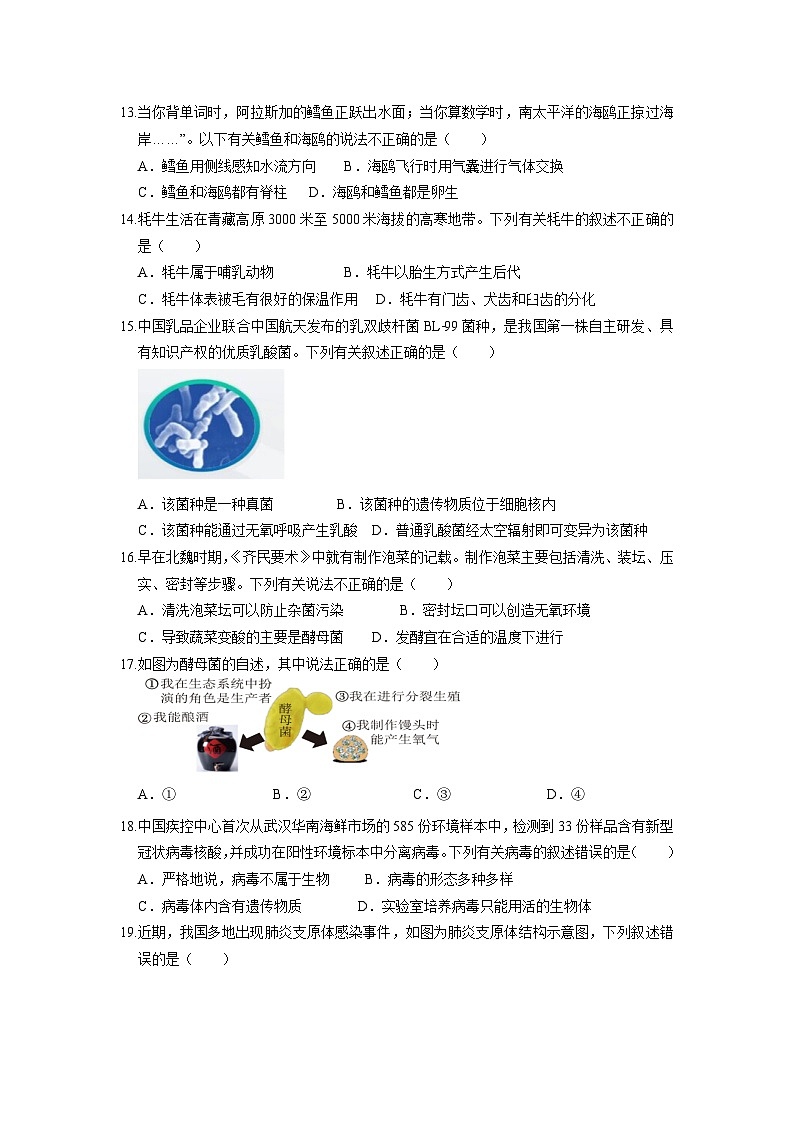 人教版（2024新版）七年级上册生物期末模拟测试卷（含答案解析）第3页