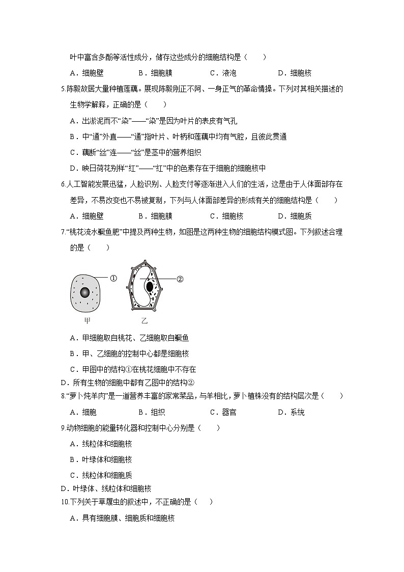 人教版（2024新版）七年级上册生物期末模拟试卷（含答案解析）第2页