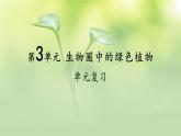 初中生物新北师大版七年级上册第3单元 植物的生活复习教学课件2024秋