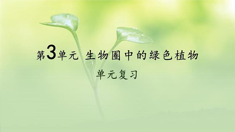 初中生物新北师大版七年级上册第3单元 植物的生活复习教学课件2024秋第1页