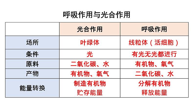 初中生物新北师大版七年级上册第3单元 植物的生活复习教学课件2024秋第6页