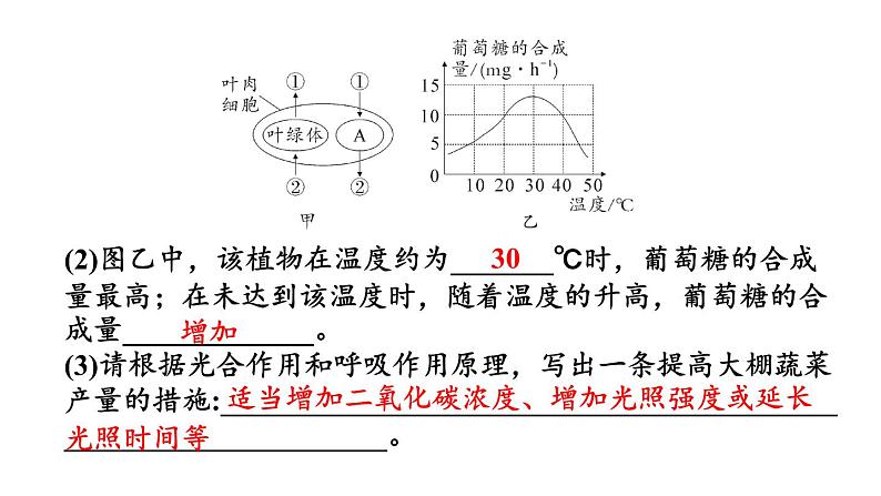 初中生物新北师大版七年级上册第3单元 植物的生活复习教学课件2024秋第8页