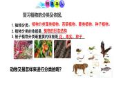 人教版生物七年级上册2.4.1《尝试对生物的分类》（教学课件）
