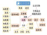 初中生物新人教版七年級上冊第一單元 生物和細胞小結(jié)教學課件2024秋