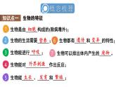 初中生物新人教版七年級上冊第一單元 生物和細胞小結(jié)教學課件2024秋