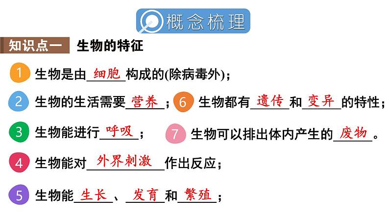 初中生物新人教版七年级上册第一单元 生物和细胞小结教学课件2024秋第3页