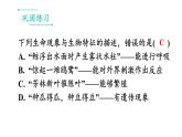 初中生物新人教版七年級上冊第一單元 生物和細胞小結(jié)教學課件2024秋