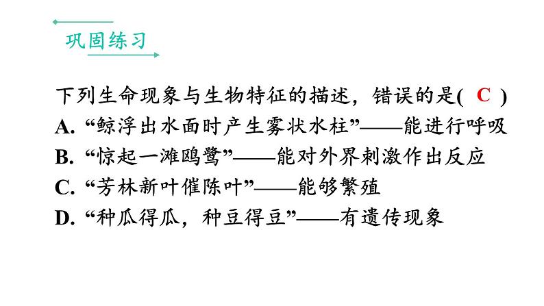 初中生物新人教版七年级上册第一单元 生物和细胞小结教学课件2024秋第4页