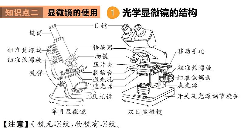 初中生物新人教版七年级上册第一单元 生物和细胞小结教学课件2024秋第5页