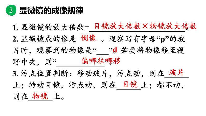 初中生物新人教版七年级上册第一单元 生物和细胞小结教学课件2024秋第8页