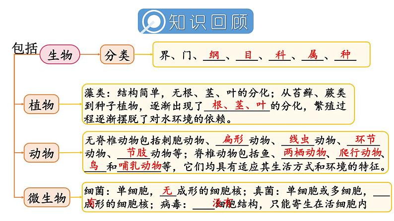 初中生物新人教版七年级上册第二单元 多种多样的生物小结教学课件2024秋第2页