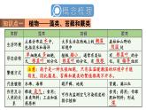 初中生物新人教版七年级上册第二单元 多种多样的生物小结教学课件2024秋