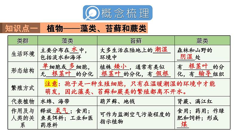 初中生物新人教版七年级上册第二单元 多种多样的生物小结教学课件2024秋第3页