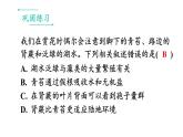 初中生物新人教版七年级上册第二单元 多种多样的生物小结教学课件2024秋