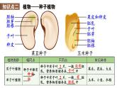 初中生物新人教版七年级上册第二单元 多种多样的生物小结教学课件2024秋