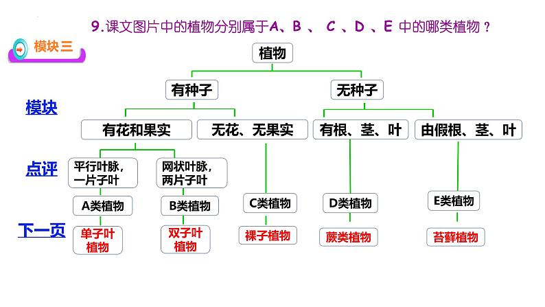 人教版生物七年级上学期2.4.1《尝试对生物的分类》课件第8页