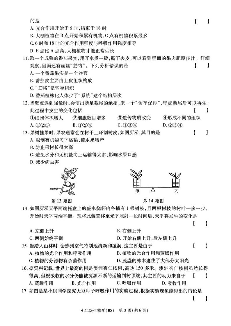 2024～2025学年河南省驻马店市泌阳县部分中学联合月考七年级(上)12月月考生物试卷(含答案)第3页
