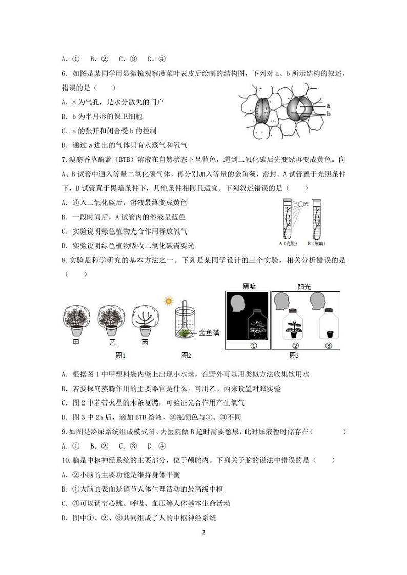 2024～2025学年江苏省泰州市姜堰区城西实验学校八年级(上)第二次月考生物试卷(含答案)第2页