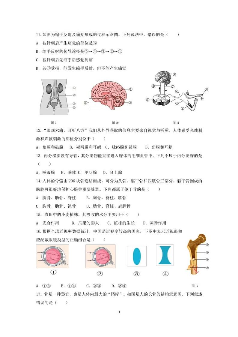 2024～2025学年江苏省泰州市姜堰区城西实验学校八年级(上)第二次月考生物试卷(含答案)第3页