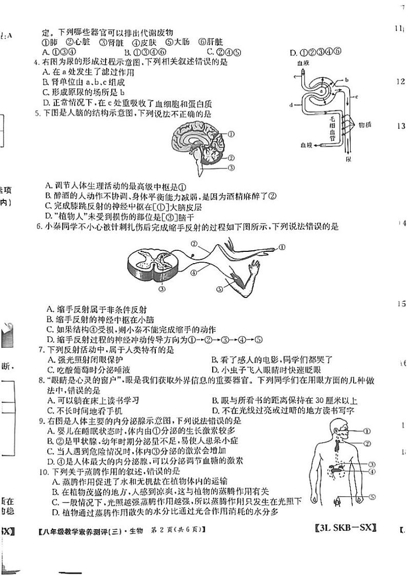 2024～2025学年陕西省延安市志丹县县域联考八年级(上)12月月考生物试卷(含答案)第2页
