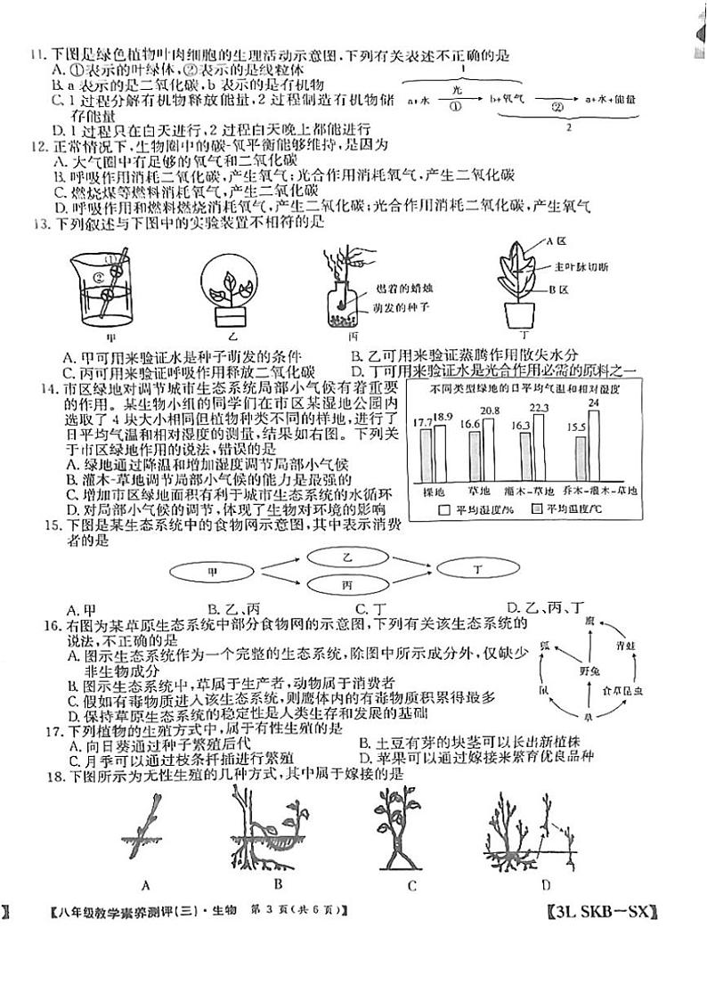 2024～2025学年陕西省延安市志丹县县域联考八年级(上)12月月考生物试卷(含答案)第3页