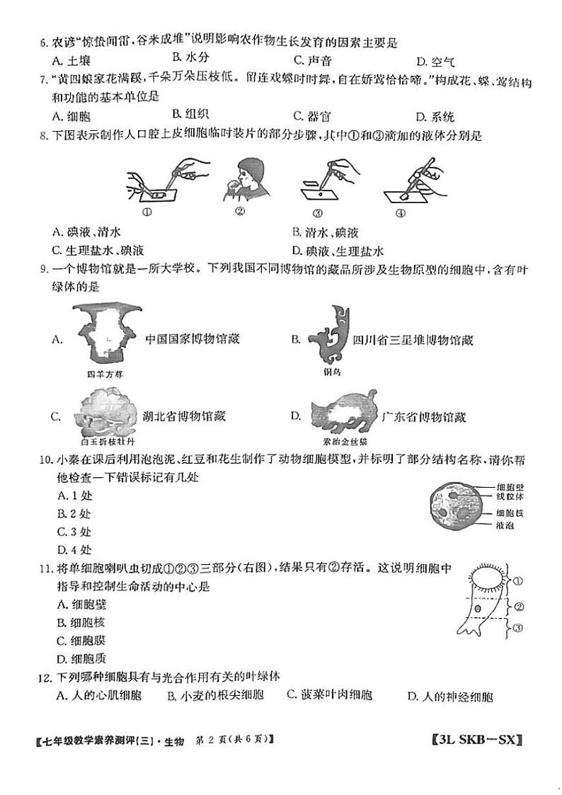 2024～2025学年陕西省延安市志丹县县域联考七年级(上)12月月考生物试卷(含答案)第2页