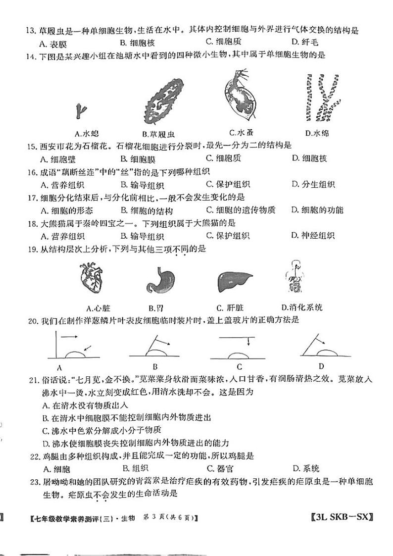 2024～2025学年陕西省延安市志丹县县域联考七年级(上)12月月考生物试卷(含答案)第3页
