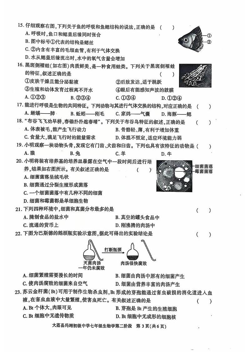 陕西省大荔县冯翊初级中学2024-2025学年七年级上学期期中考试生物试卷第3页