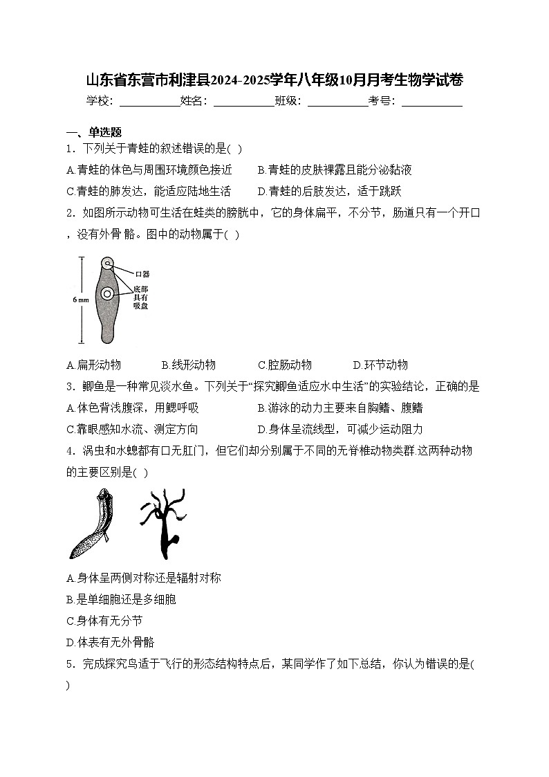 山东省东营市利津县2024-2025学年八年级10月月考生物学试卷(含答案)第1页