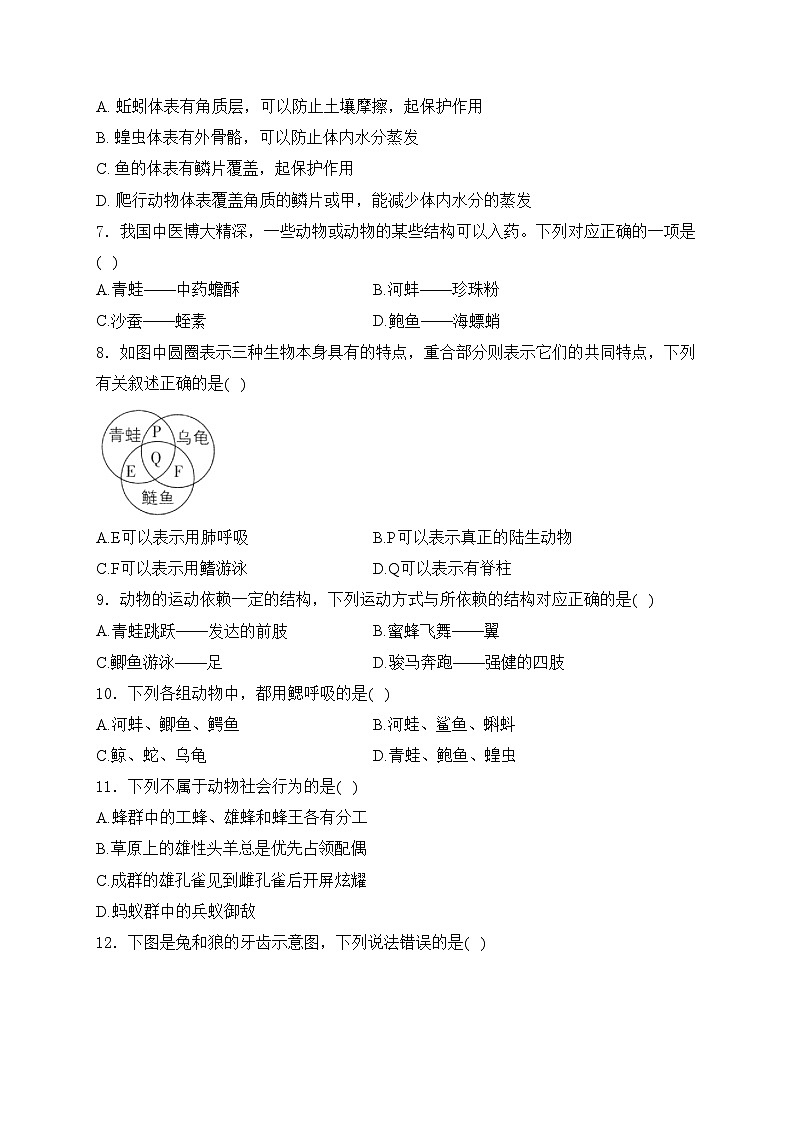 山东省东营市利津县2024-2025学年八年级上学期期中考试生物试卷(含答案)第2页