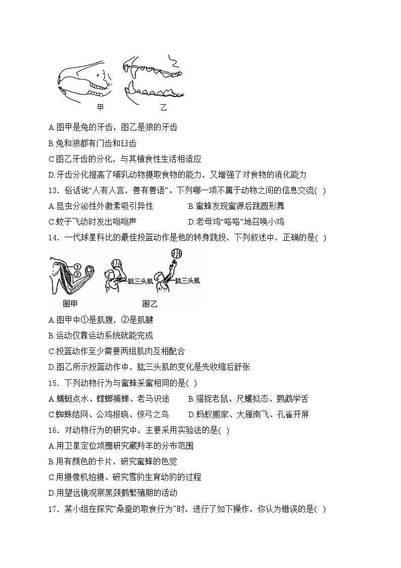 山东省东营市利津县2024-2025学年八年级上学期期中考试生物试卷(含答案)第3页